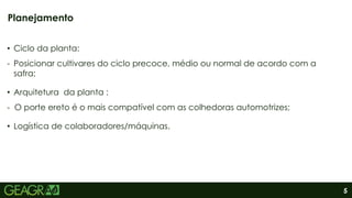 5
• Ciclo da planta:
- Posicionar cultivares do ciclo precoce, médio ou normal de acordo com a
safra;
• Arquitetura da planta :
- O porte ereto é o mais compatível com as colhedoras automotrizes;
• Logística de colaboradores/máquinas.
Planejamento
 