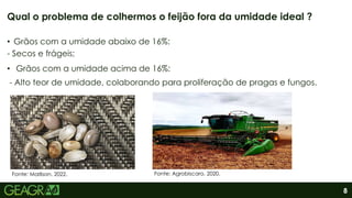 8
• Grãos com a umidade abaixo de 16%:
- Secos e frágeis;
• Grãos com a umidade acima de 16%:
- Alto teor de umidade, colaborando para proliferação de pragas e fungos.
Qual o problema de colhermos o feijão fora da umidade ideal ?
Fonte: Marlison, 2022. Fonte: Agrobiscaro, 2020.
 