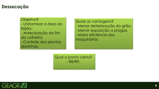 9
Dessecação
Qual o ponto certo?
- R8/R9.
Quais as vantagens?
- Menor deterioração do grão;
- Menor exposição a pragas;
- Maior eficiência dos
maquinários.
Objetivo?
- Uniformizar a área do
feijão;
- Antecipação do fim
da colheita;
- Controle das plantas
daninhas.
 