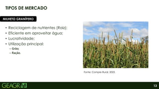 13
TIPOS DE MERCADO
• Reciclagem de nutrientes (Raiz);
• Eficiente em aproveitar água;
• Lucratividade;
• Utilização principal:
– Grão;
– Ração.
MILHETO GRANÍFERO
Fonte: Compre Rural, 2022.
 