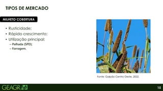 15
TIPOS DE MERCADO
• Rusticidade;
• Rápido crescimento;
• Utilização principal:
– Palhada (SPD);
– Forragem.
MILHETO COBERTURA
Fonte: Galpão Centro Oeste, 2022.
 
