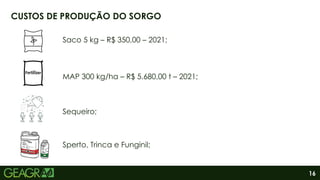 16
CUSTOS DE PRODUÇÃO DO SORGO
Saco 5 kg – R$ 350,00 – 2021;
MAP 300 kg/ha – R$ 5.680,00 t – 2021;
Sequeiro;
Sperto, Trinca e Funginil;
 