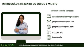 Entre em contato conosco:
geagraufg.wordpress.com
geagracontato@gmail.com
GEAGRA UFG
@geagraufg
UNINDO CONHECIMENTO EM PROL DA AGRICULTURA!
INTRODUÇÃO E MERCADO DO SORGO E MILHETO
eduardanathalia299@gmail.com
 