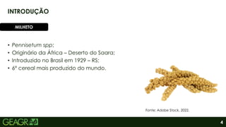 4
• Pennisetum spp;
• Originário da África – Deserto do Saara;
• Introduzido no Brasil em 1929 – RS;
• 6º cereal mais produzido do mundo.
INTRODUÇÃO
MILHETO
Fonte: Adobe Stock, 2022.
 