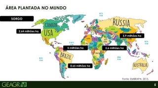 5
ÁREA PLANTADA NO MUNDO
SORGO
2,64 milhões ha
5,9 milhões ha
5,6 milhões ha
0,65 milhões ha
5 milhões ha
Fonte: EMBRAPA, 2015.
 