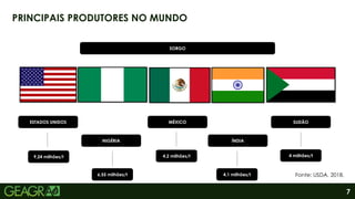 7
PRINCIPAIS PRODUTORES NO MUNDO
SORGO
ESTADOS UNIDOS
NIGÉRIA
MÉXICO
ÍNDIA
SUDÃO
Fonte: USDA, 2018.
9,24 milhões/t
6,55 milhões/t
4,2 milhões/t 4 milhões/t
4,1 milhões/t
 