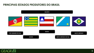 9
PRINCIPAIS ESTADOS PRODUTORES DO BRASIL
RIO GRANDE DO SUL
GOIÁS
BAHIA
MATO GROSSO DO SUL
MATO GROSSO
MILHETO
 