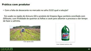 10
• Com a falta de dessecante no mercado na safra 21/22 qual a solução?
Foi usado na região de Anicuns-GO o produto de limpeza Água sanitária conciliado com
Glifosato, com finalidade de queimar as folhas e caule para adiantar o processo e dar tempo
de fazer a safrinha.
Prática com produtor
Fonte: Agrolink, 2022.
Fonte: Utilidades Sanitárias, 2022.
 