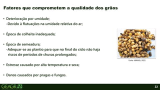 22
• Deterioração por umidade;
-Devido à flutuações na umidade relativa do ar;
• Época de colheita inadequada;
• Época de semeadura;
-Adequar-se ao plantio para que no final do ciclo não haja
riscos de períodos de chuvas prolongados;
• Estresse causado por alta temperatura e seca;
• Danos causados por pragas e fungos.
Fatores que comprometem a qualidade dos grãos
Fonte: ABRASS, 2022.
 