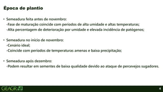 4
• Semeadura feita antes de novembro:
-Fase de maturação coincide com períodos de alta umidade e altas temperaturas;
-Alta percentagem de deterioração por umidade e elevada incidência de patógenos;
• Semeadura no início de novembro:
-Cenário ideal;
-Coincide com períodos de temperaturas amenas e baixa precipitação;
• Semeadura após dezembro:
-Podem resultar em sementes de baixa qualidade devido ao ataque de percevejos sugadores.
Época de plantio
 