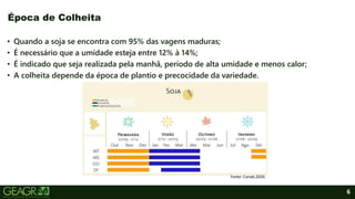 6
• Quando a soja se encontra com 95% das vagens maduras;
• É necessário que a umidade esteja entre 12% à 14%;
• É indicado que seja realizada pela manhã, período de alta umidade e menos calor;
• A colheita depende da época de plantio e precocidade da variedade.
Época de Colheita
Fonte: Conab,2020.
 