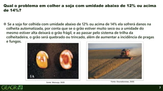 7
 Se a soja for colhida com umidade abaixo de 12% ou acima de 14% ela sofrerá danos na
colheita automatizada, por conta que se o grão estiver muito seco ou a umidade do
mesmo estiver alta deixará o grão frágil, e ao passar pelo sistema de trilha da
colheitadeira, o grão será quebrado ou trincado, além de aumentar a incidência de pragas
e fungos.
Qual o problema em colher a soja com umidade abaixo de 12% ou acima
de 14%?
Fonte: Douradosnews, 2020.
Fonte: Maissoja, 2020.
 