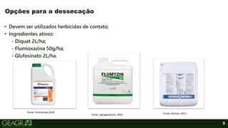 9
• Devem ser utilizados herbicidas de contato;
• Ingredientes ativos:
- Diquat 2L/ha;
- Flumioxazina 50g/ha;
- Glufosinato 2L/ha.
Opções para a dessecação
Fonte: Fertitienda,2018.
Fonte: Agrogestionar, 2016. Fonte: Nortox, 2021.
 
