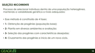 18
SELEÇÃO RECORRENTE
Processo de selecionar indivíduos dentro de uma população heterogênea,
mantendo a variabilidade genética a níveis adequados;
• Esse método é constituído de 4 fases:
• 1- Obtenção de progênies (população base);
• 2- Plantio em diversos ambientes e avaliação;
• 3- Seleção das progênies com características desejadas;
• 4- Cruzamento das progênies e inicio de um novo ciclo.
 