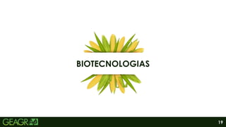 19
BIOTECNOLOGIAS
 