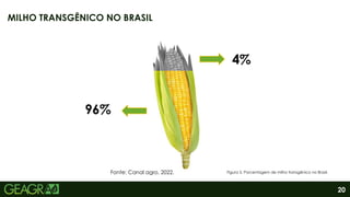 20
96%
4%
Fonte: Canal agro, 2022.
MILHO TRANSGÊNICO NO BRASIL
Figura 5. Porcentagem de milho transgênico no Brasil.
 