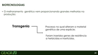 21
• O melhoramento genético vem proporcionando grandes melhorias na
produção;
BIOTECNOLOGIAS
Transgenia Processo no qual alteram o material
genético de uma espécie;
Foram inseridos genes de resistência
a herbicidas e inseticidas.
 
