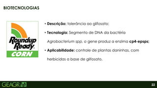 22
• Descrição: tolerância ao glifosato;
• Tecnologia: Segmento de DNA da bactéria
Agrobacterium spp, o gene produz a enzima cp4-epsps;
• Aplicabilidade: controle de plantas daninhas, com
herbicidas a base de glifosato.
BIOTECNOLOGIAS
 