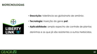 23
• Descrição: tolerância ao glufosinato de amônio;
• Tecnologia: inserção do gene pat;
• Aplicabilidade: amplo espectro de controle de plantas
daninhas e as que já são resistentes a outros herbicidas.
BIOTECNOLOGIAS
 
