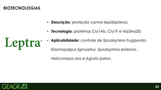 25
• Descrição: proteção contra lepidópteros;
• Tecnologia: proteínas Cry1Ab, Cry1F e Vip3Aa20;
• Aplicabilidade: controle de Spodoptera frugiperda,
Elasmopalpus lignosellus, Spodoptera eridania,
Helicoverpa zea e Agrotis ipsilon.
BIOTECNOLOGIAS
 