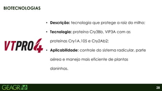 28
• Descrição: tecnologia que protege a raiz do milho;
• Tecnologia: proteína Cry3Bb, VIP3A com as
proteínas Cry1A.105 e Cry2Ab2;
• Aplicabilidade: controle do sistema radicular, parte
aérea e manejo mais eficiente de plantas
daninhas.
BIOTECNOLOGIAS
 