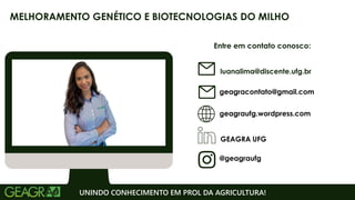 Entre em contato conosco:
geagraufg.wordpress.com
geagracontato@gmail.com
GEAGRA UFG
@geagraufg
UNINDO CONHECIMENTO EM PROL DA AGRICULTURA!
MELHORAMENTO GENÉTICO E BIOTECNOLOGIAS DO MILHO
luanalima@discente.ufg.br
 