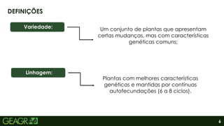 6
DEFINIÇÕES
Variedade: Um conjunto de plantas que apresentam
certas mudanças, mas com características
genéticas comuns;
Linhagem:
Plantas com melhores características
genéticas e mantidas por contínuas
autofecundações (6 a 8 ciclos).
 