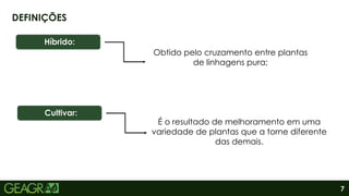 7
DEFINIÇÕES
Híbrido:
Obtido pelo cruzamento entre plantas
de linhagens pura;
Cultivar:
É o resultado de melhoramento em uma
variedade de plantas que a torne diferente
das demais.
 