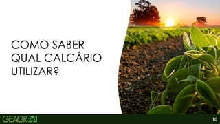 10
COMO SABER
QUAL CALCÁRIO
UTILIZAR?
 