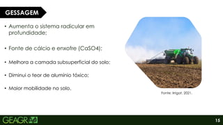 15
• Aumenta o sistema radicular em
profundidade;
• Fonte de cálcio e enxofre (CaSO4);
• Melhora a camada subsuperficial do solo;
• Diminui o teor de alumínio tóxico;
• Maior mobilidade no solo.
GESSAGEM
Fonte: Irrigat, 2021.
 