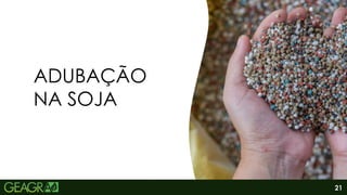 21
ADUBAÇÃO
NA SOJA
 