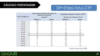 27
CÁLCULO FOSFATAGEM
Fonte: Souza et.al, 2006.
DP=(Tdes-Tatu).CTP
 
