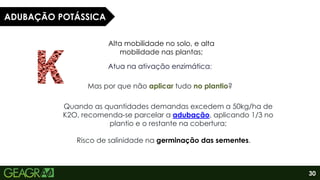 30
ADUBAÇÃO POTÁSSICA
Quando as quantidades demandas excedem a 50kg/ha de
K2O, recomenda-se parcelar a adubação, aplicando 1/3 no
plantio e o restante na cobertura;
Alta mobilidade no solo, e alta
mobilidade nas plantas;
Mas por que não aplicar tudo no plantio?
Atua na ativação enzimática;
Risco de salinidade na germinação das sementes.
 