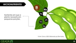33
MICRONUTRIENTES
Nutrientes em que a
planta necessita em
pequenas porções.
Fonte: Canva, 2023. Elaborado por Elen Kaliny.
 