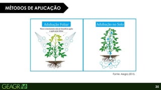 35
MÉTODOS DE APLICAÇÃO
Fonte: Aegro,2015.
 