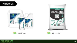 36
PRODUTOS
R$ 225,00
R$ 190,00
 