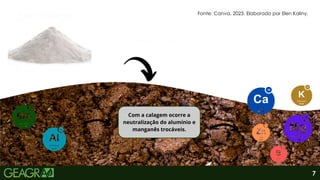 7
Fonte: Canva, 2023. Elaborado por Elen Kaliny.
 