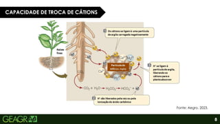 8
CAPACIDADE DE TROCA DE CÁTIONS
Fonte: Aegro, 2023.
 