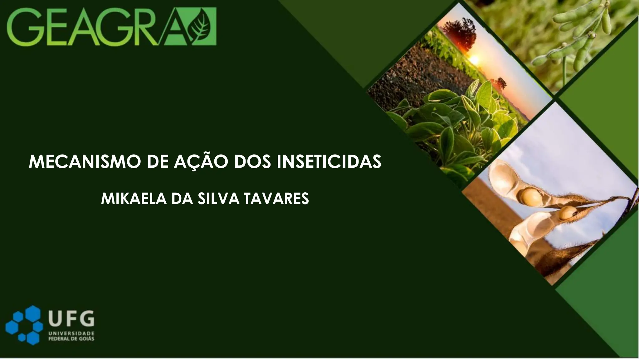 Mecanismo de ação de inseticidas........ | PPT