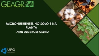 ALINE OLIVEIRA DE CASTRO
MICRONUTRIENTES NO SOLO E NA
PLANTA
 