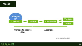 Solução
íon
13
FOLIAR
Cutícula Parede Citoplasma
Vacúolo
Vasos
Transporte passivo
(ELA)
Absorção
Fonte: SQM VITAS, 2021.
 
