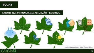 16
FOLIAR
Fonte: Elaborado por Aline Castro, 2024.
FATORES QUE INFLUENCIAM A ABSORÇÃO - EXTERNOS
 