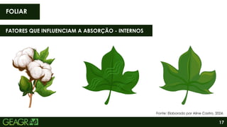 17
FOLIAR
Fonte: Elaborado por Aline Castro, 2024.
FATORES QUE INFLUENCIAM A ABSORÇÃO - INTERNOS
 