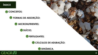 2
CONCEITOS;
ÍNDICE
FORMAS DE ABSORÇÃO;
MICRONUTRIENTES;
SILÍCIO;
FERTILIZANTES;
CÁLCULOS DE ADUBAÇÃO;
DINÂMICA.
 