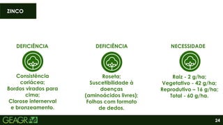 24
DEFICIÊNCIA
Consistência
coriácea;
Bordos virados para
cima;
Clorose internerval
e bronzeamento.
DEFICIÊNCIA
Roseta;
Suscetibilidade à
doenças
(aminoácidos livres);
Folhas com formato
de dedos.
Raiz - 2 g/ha;
Vegetativo - 42 g/ha;
Reprodutivo – 16 g/ha;
Total - 60 g/ha.
NECESSIDADE
ZINCO
 
