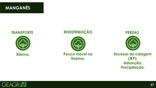27
MANGANÊS
TRANSPORTE
Xilema.
REDISTRIBUIÇÃO
Pouco móvel no
floema.
Excesso de calagem
( P);
Adsorção;
Precipitação.
PERDAS
 