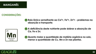 28
MANGANÊS
CONSIDERAÇÕES:
Raio iônico semelhante ao Ca²+, Fe²+, Zn²+ - problemas na
absorção e transporte;
A deficiência deste nutriente pode dobrar a absorção de
Ca, Fe e Zn;
Quanto maior a quantidade de matéria orgânica no solo,
menor a quantidade de Cu, Mn e Zn nas plantas.
 