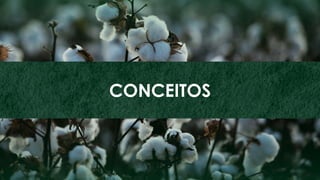 3
ZINCO
CONCEITOS
 