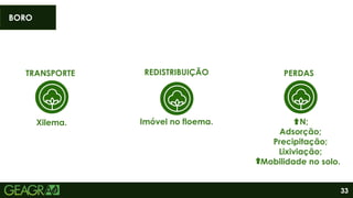 33
TRANSPORTE
Xilema.
REDISTRIBUIÇÃO
Imóvel no floema. N;
Adsorção;
Precipitação;
Lixiviação;
Mobilidade no solo.
PERDAS
BORO
 