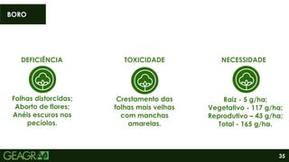 35
DEFICIÊNCIA
Folhas distorcidas;
Aborto de flores;
Anéis escuros nos
pecíolos.
TOXICIDADE
Crestamento das
folhas mais velhas
com manchas
amarelas.
Raiz - 5 g/ha;
Vegetativo - 117 g/ha;
Reprodutivo – 43 g/ha;
Total - 165 g/ha.
NECESSIDADE
BORO
 
